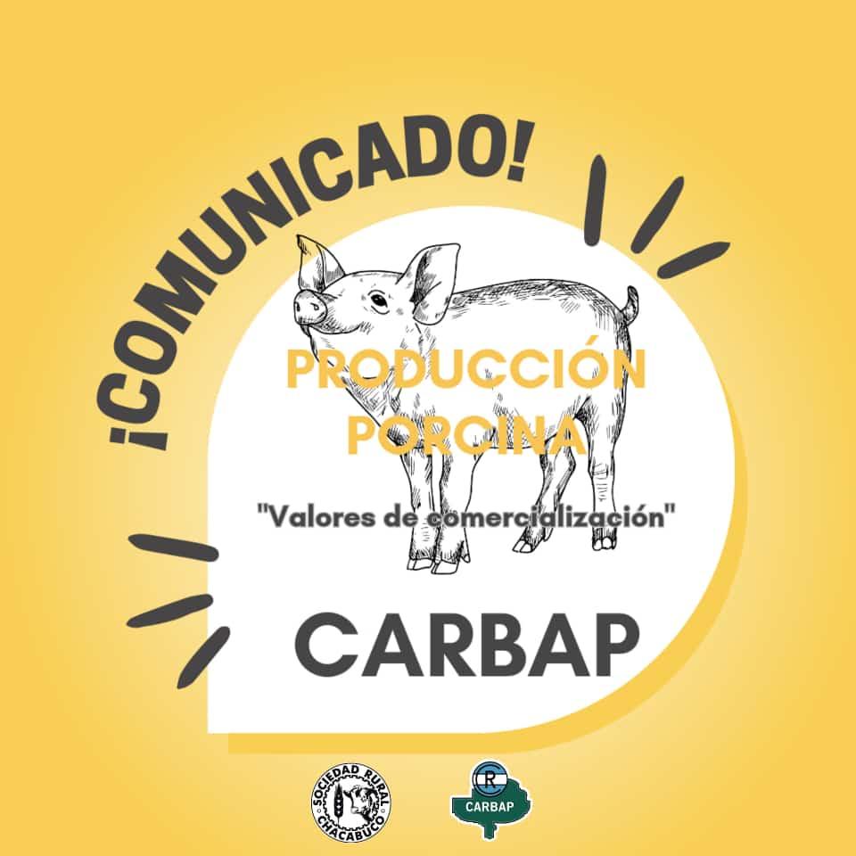 Comunicado CARBAP