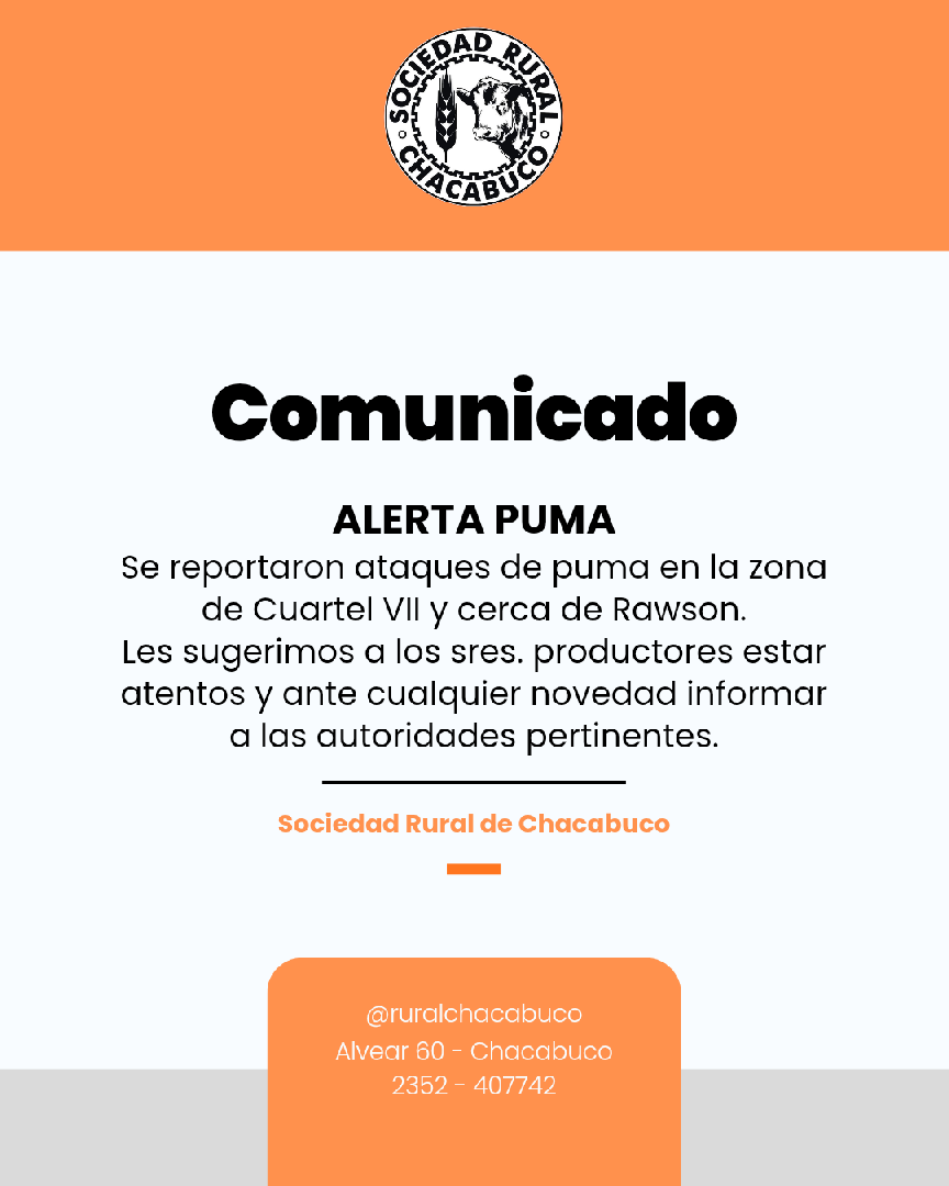 Alerta Puma! Chacabuco